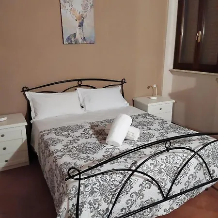 Carducci 49-2